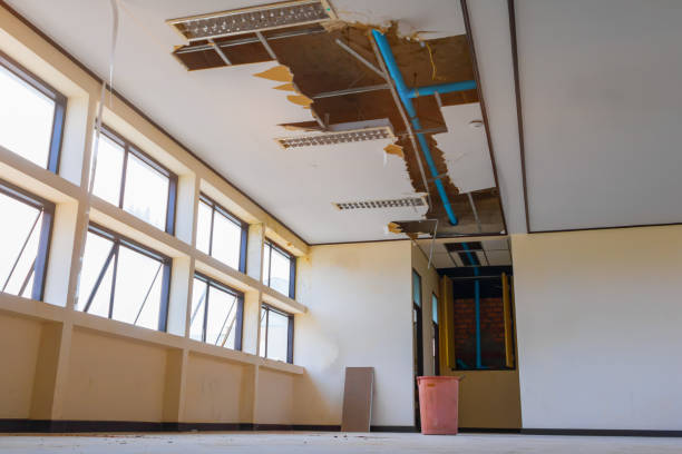 Best Water damage restoration near me  in Paramount Long Meadow, MD