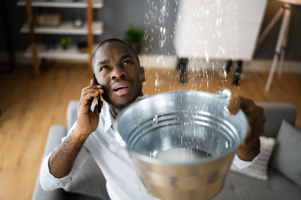 Best 24/7 water damage repair  in Paramount Long Meadow, MD