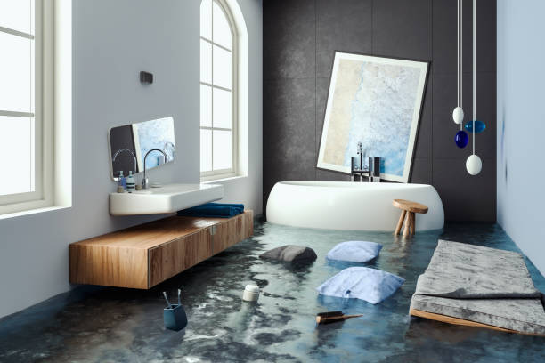 Best Water damage restoration near me  in Paramount Long Meadow, MD