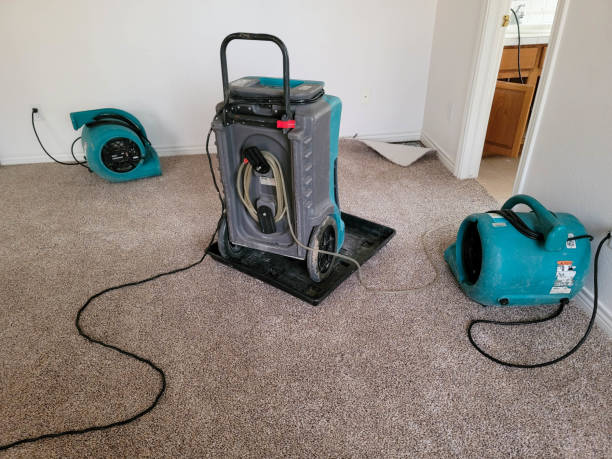 Best Mold removal after water damage  in Paramount Long Meadow, MD