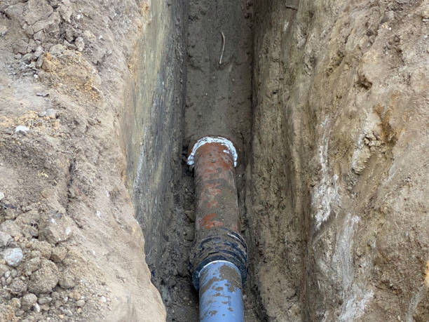 Best Flood restoration services  in Paramount Long Meadow, MD