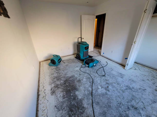 Paramount Long Meadow, MD Water damage restoration Company