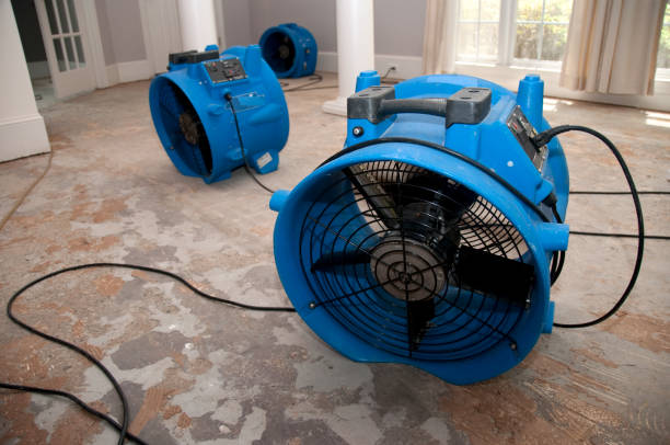 Best Water damage cleanup near me  in Paramount Long Meadow, MD