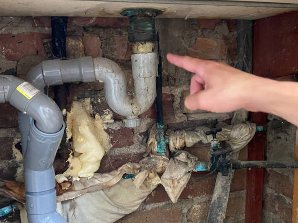 Trusted Paramount Long Meadow, MD Water damage restoration Experts
