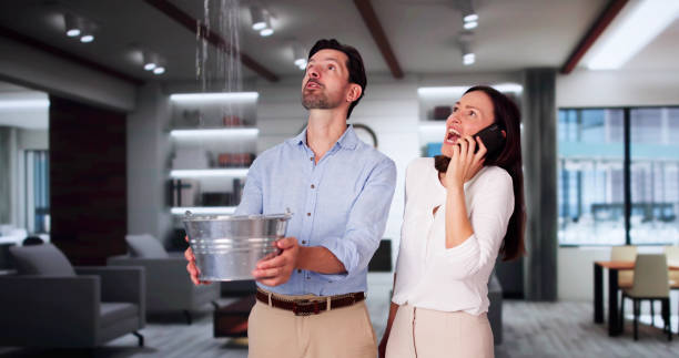 Best Mold removal after water damage  in Paramount Long Meadow, MD