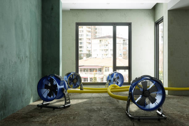 Best Sewage cleanup and water damage restoration  in Paramount Long Meadow, MD