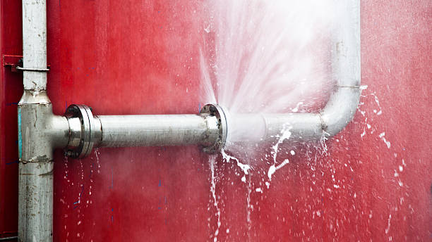 Best Basement water damage restoration  in Paramount Long Meadow, MD